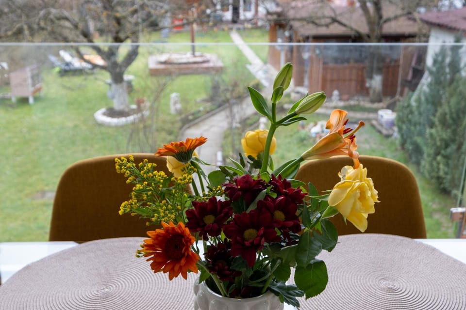 Garden, Garden view