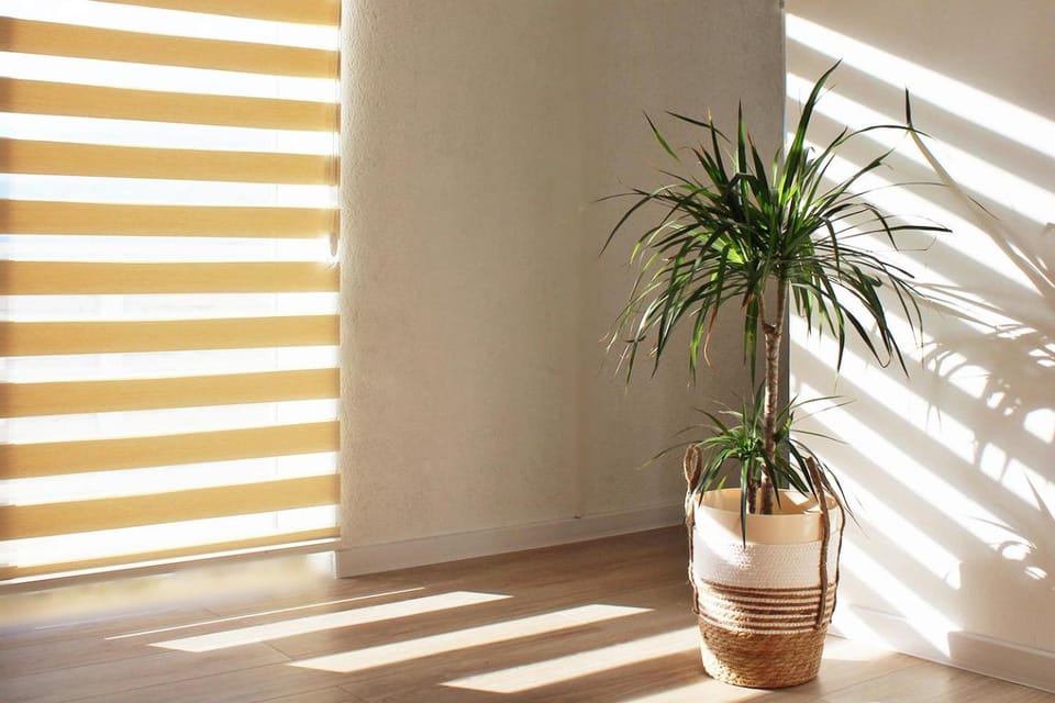 Living room, Decorative detail