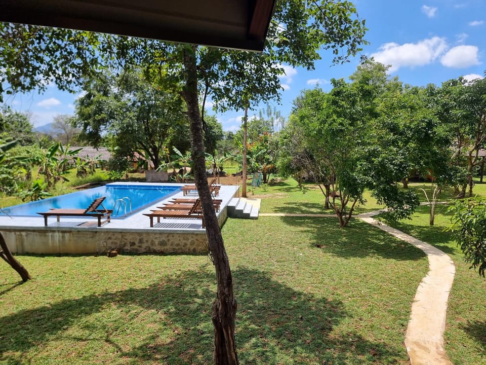 Natural landscape, Garden, Garden view, Pool view, Swimming pool, sunbed