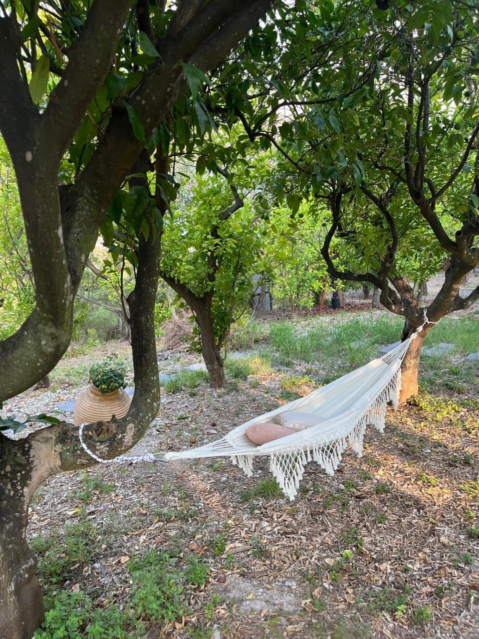 Villa Meridia House in San Menaio