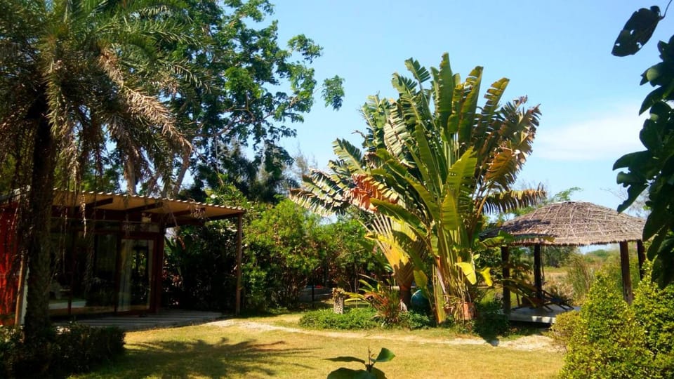 Natural landscape, Garden view