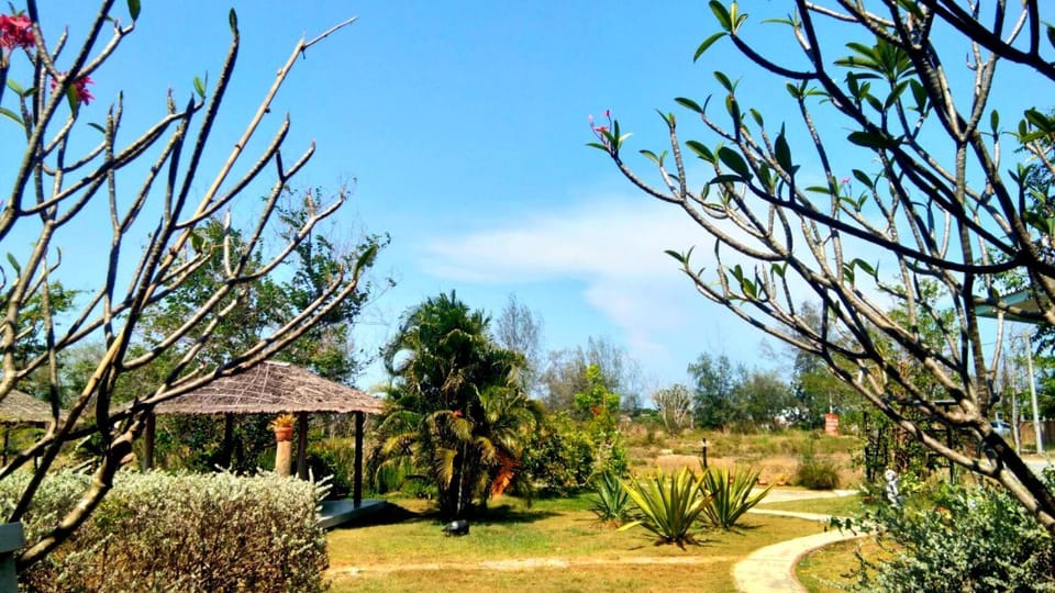 Natural landscape, Garden view