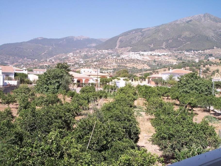 CASA CARMEN House in Axarquía