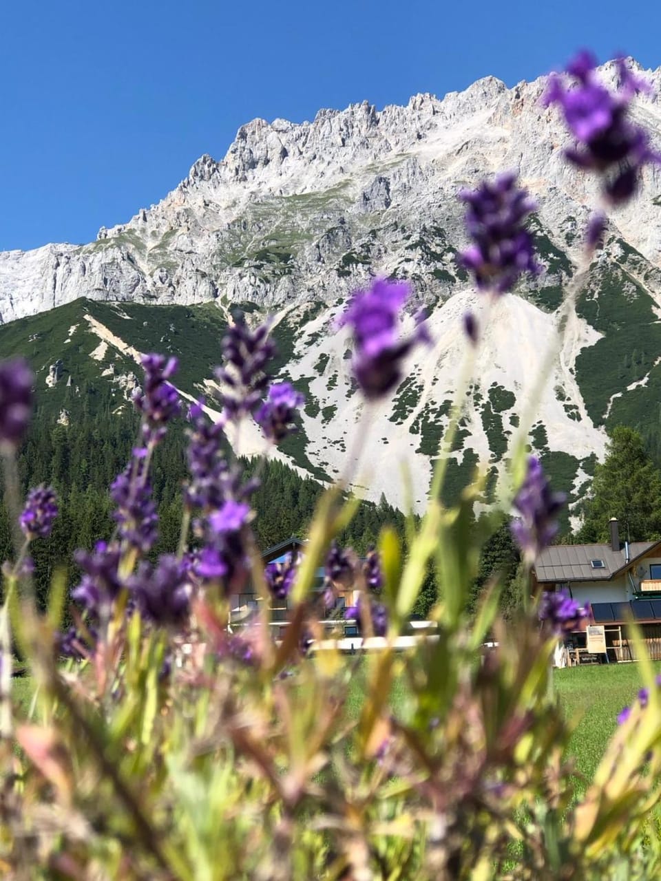 Nearby landmark, Day, Natural landscape, Mountain view