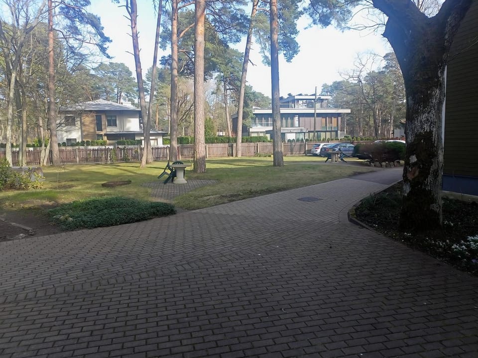 Property building, Spring, Day, Neighbourhood, Natural landscape, Garden, Garden view, Street view, Location, Parking