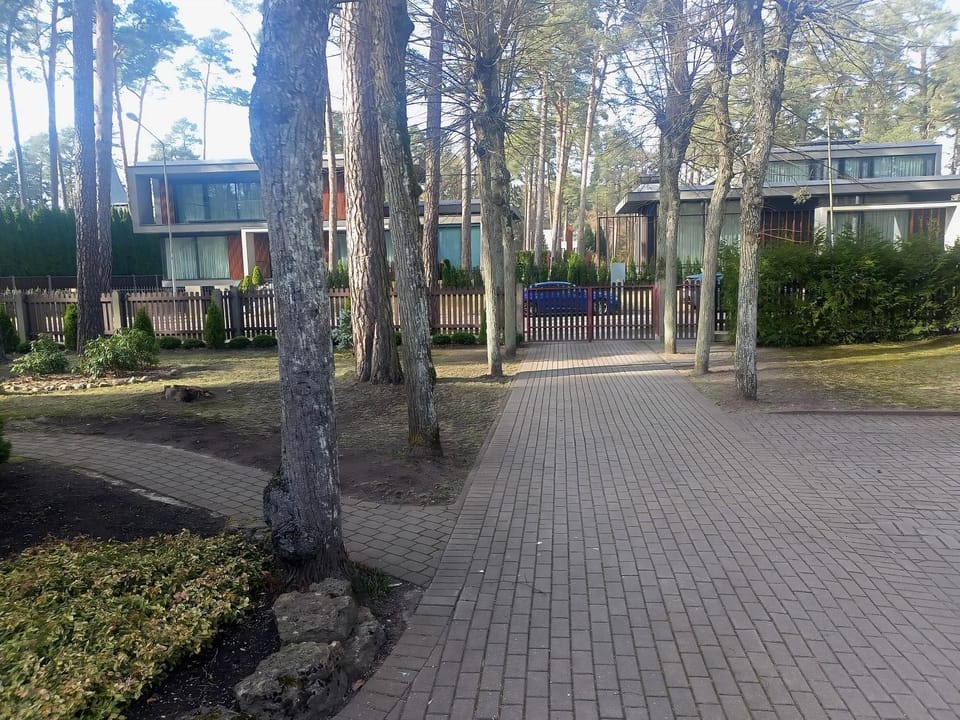 Property building, Spring, Day, Neighbourhood, Natural landscape, Garden, Garden view, Street view