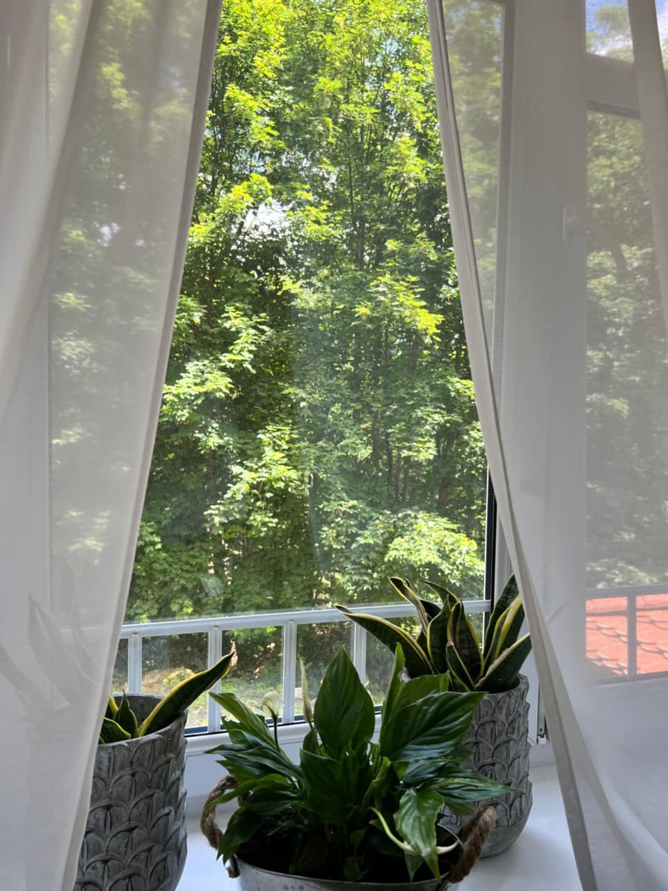 Willa Tusculum Bed and Breakfast in Lower Silesian Voivodeship