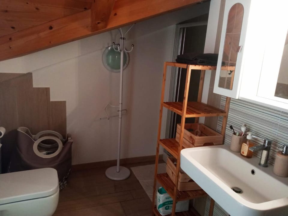 Shower, Bathroom, bidet