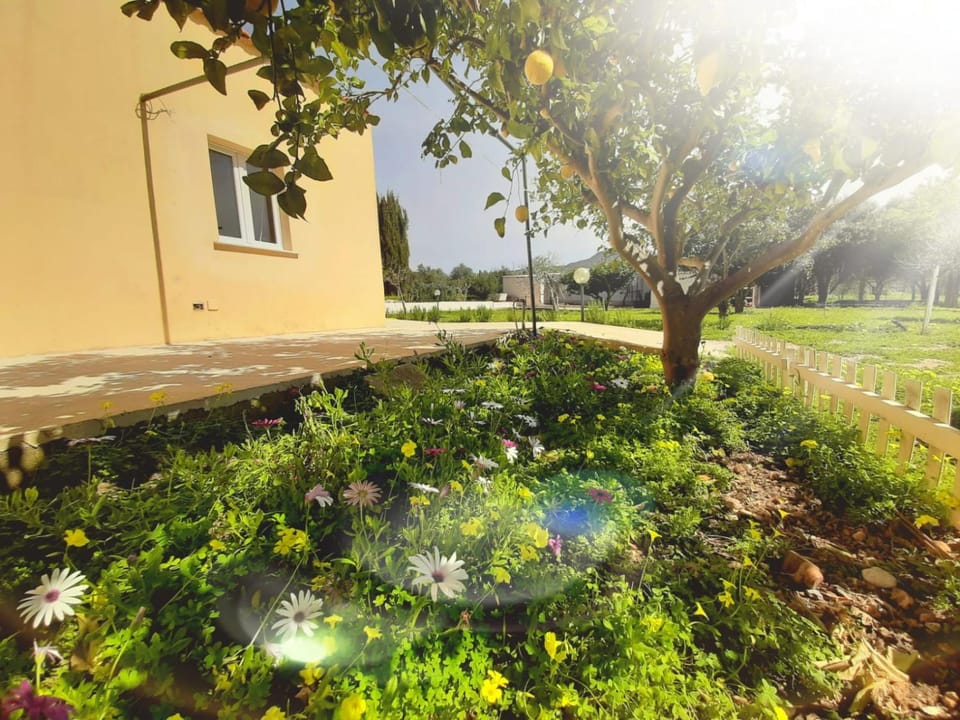 Garden, Garden
