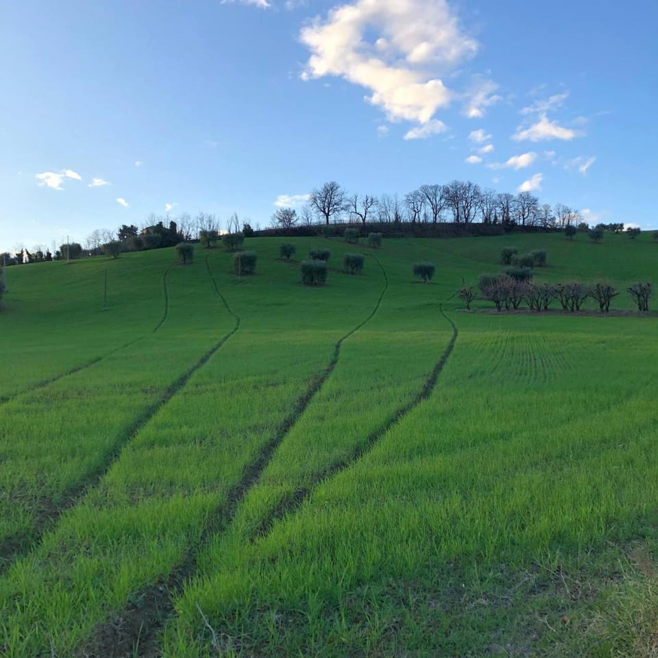 B&B San Nicola Bed and Breakfast in Marche