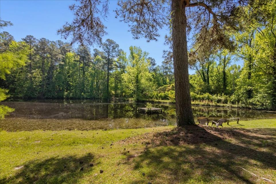 5BR Woodland Retreat on 7 Acres with a Pond House in North Augusta