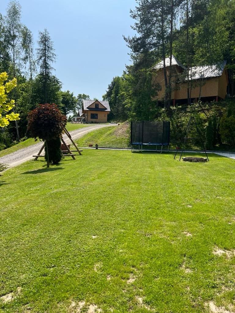 Spring, Day, Natural landscape, Garden, Garden view