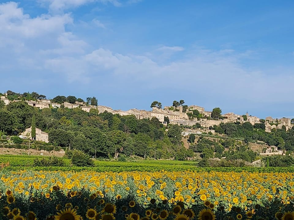 Spring, Natural landscape