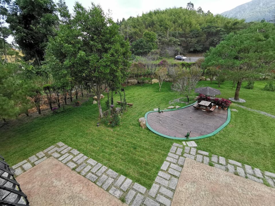Garden view