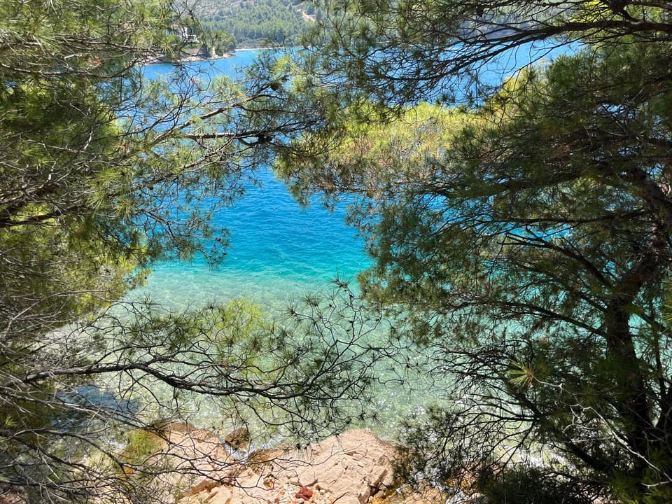 Natural landscape