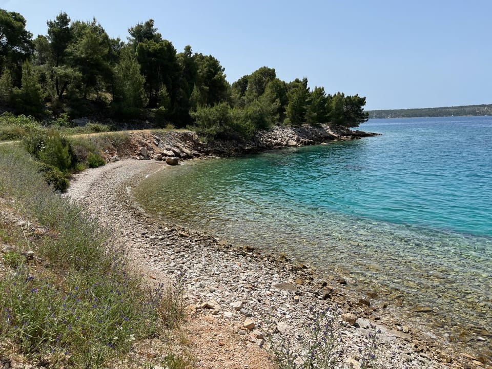 Natural landscape