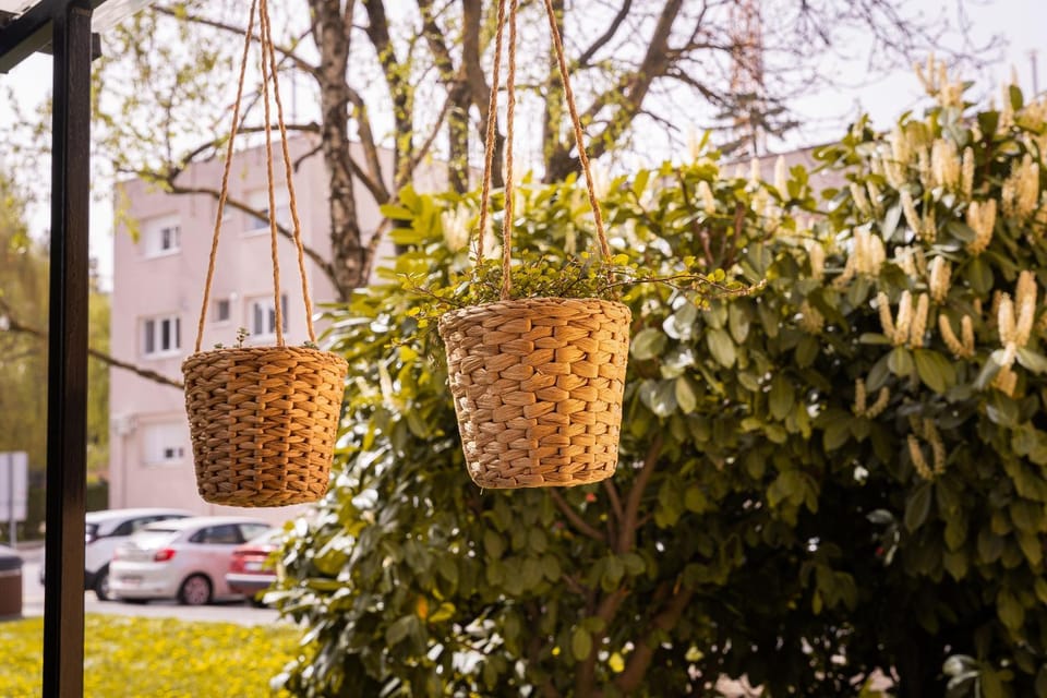 Spring, Day, Natural landscape, Garden view