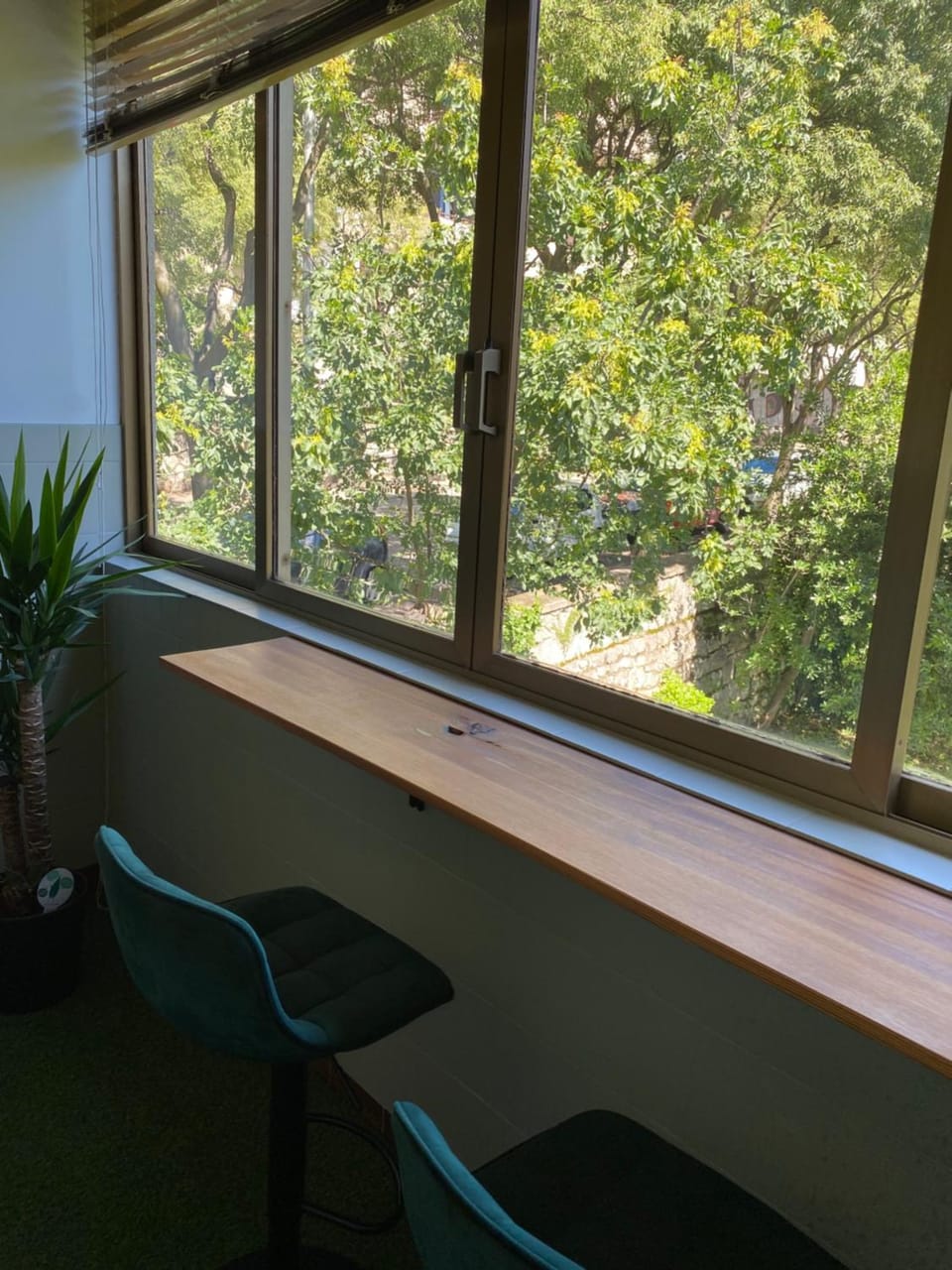 Garden view