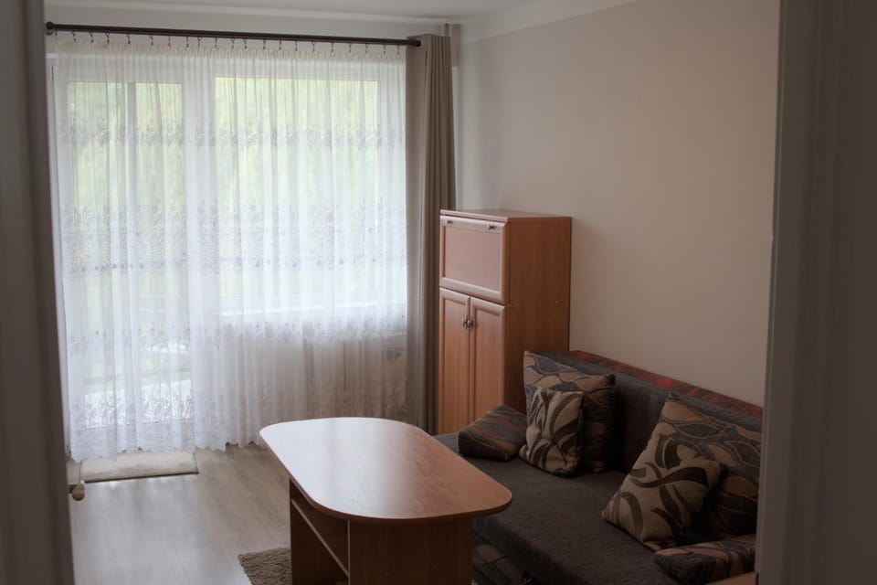 Przytulne mieszkanie blisko kanalu Apartment in Lithuania