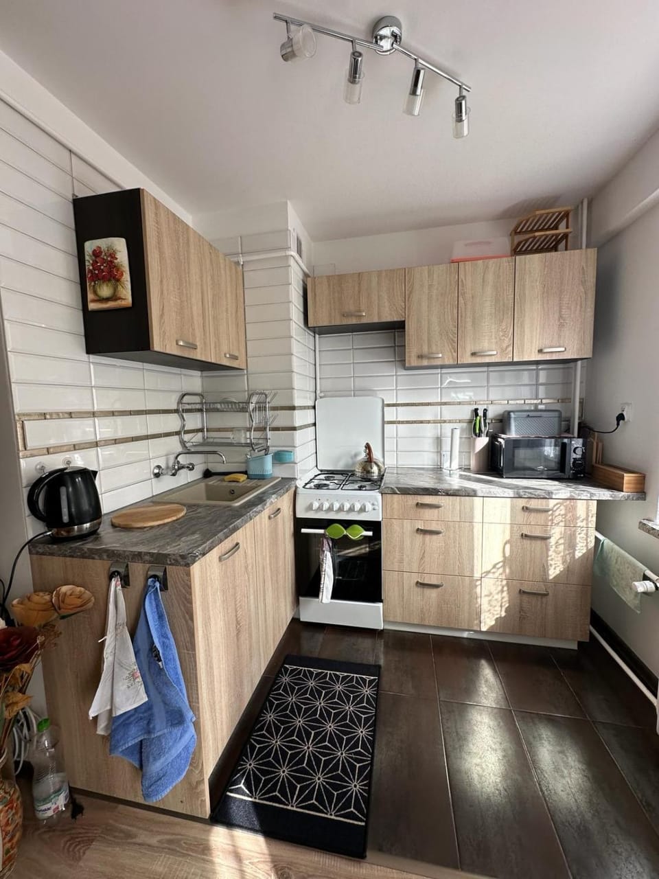 Kitchen or kitchenette, dishwasher