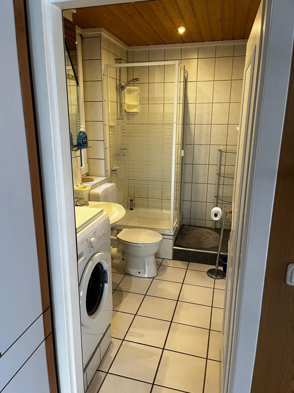 Shower, Toilet, washing machine