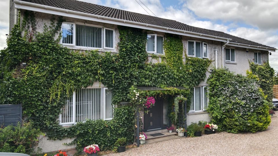 Property building, Day, Garden, Garden view