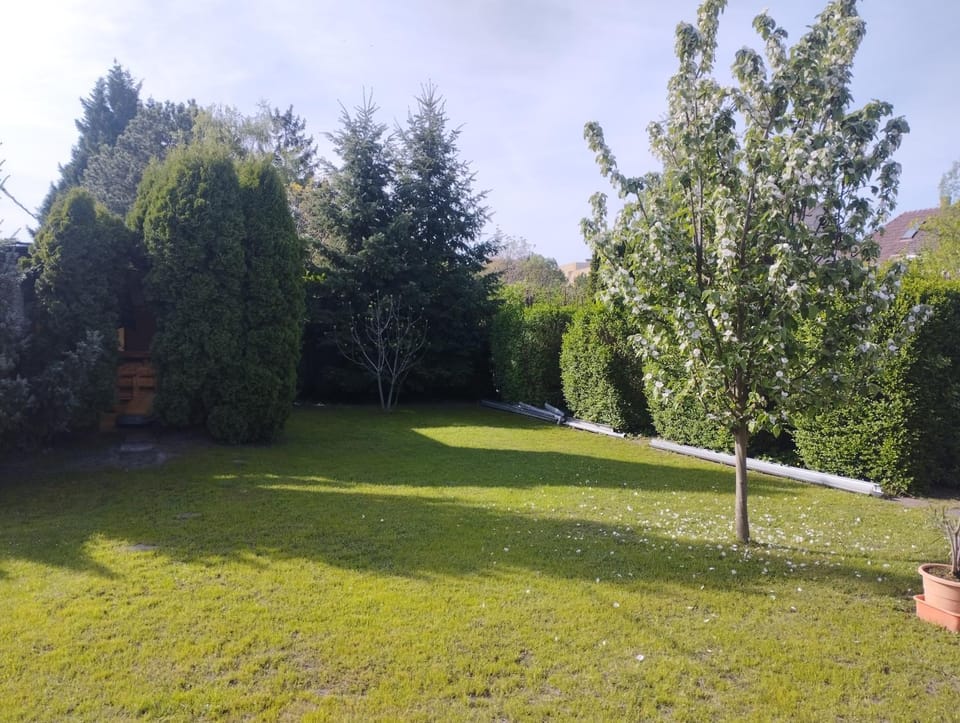 Inner courtyard view