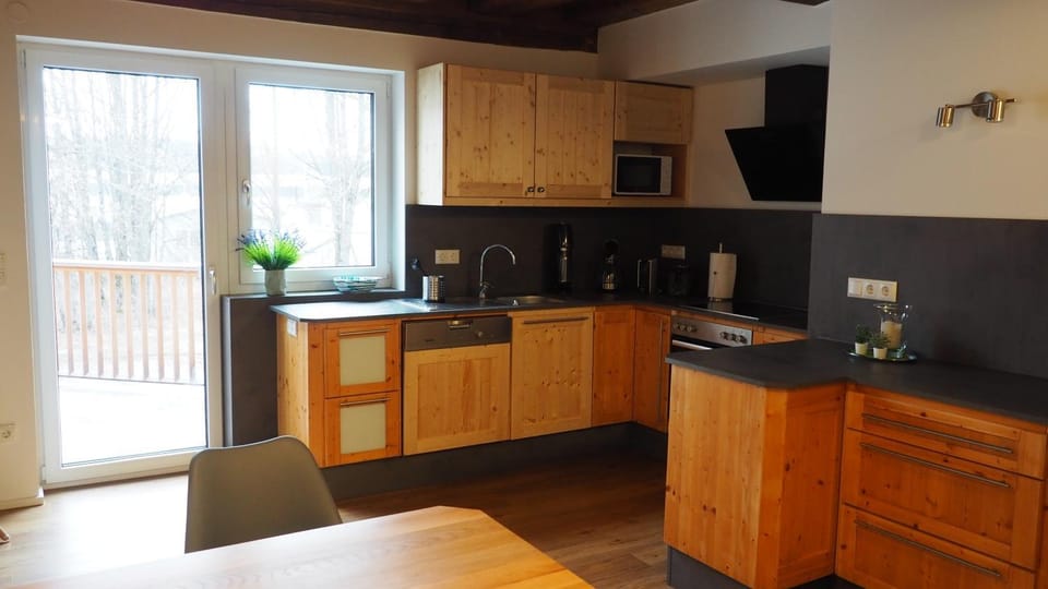 Kitchen or kitchenette, dishwasher, stove