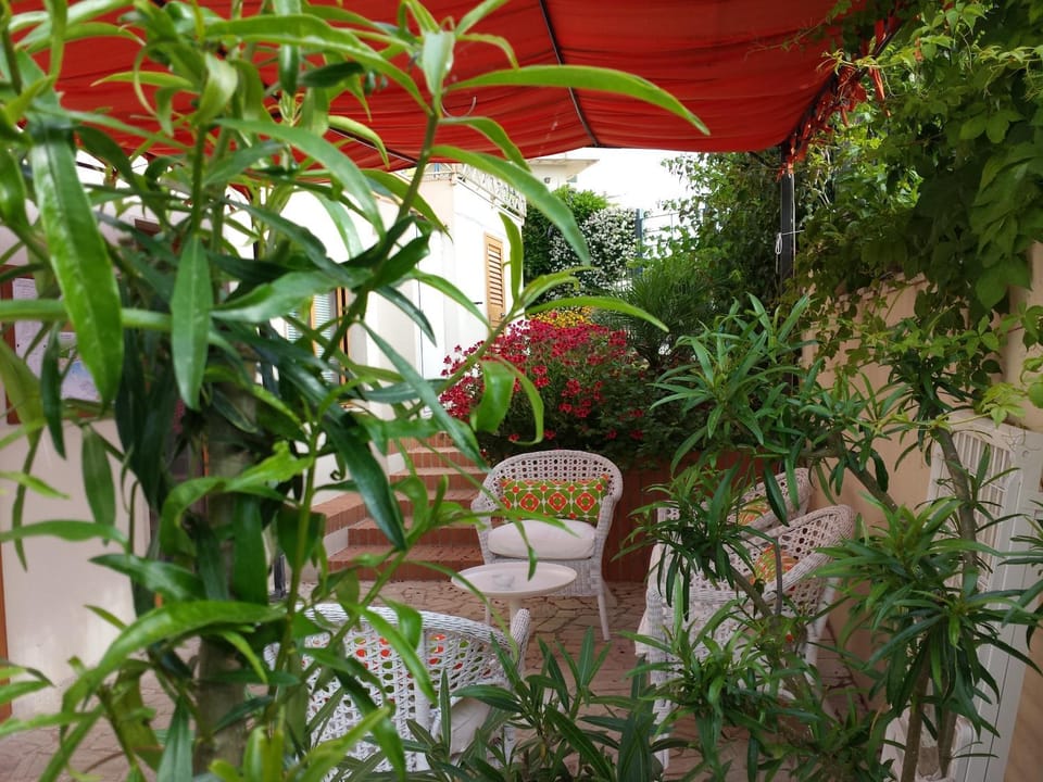 Garden, Garden view
