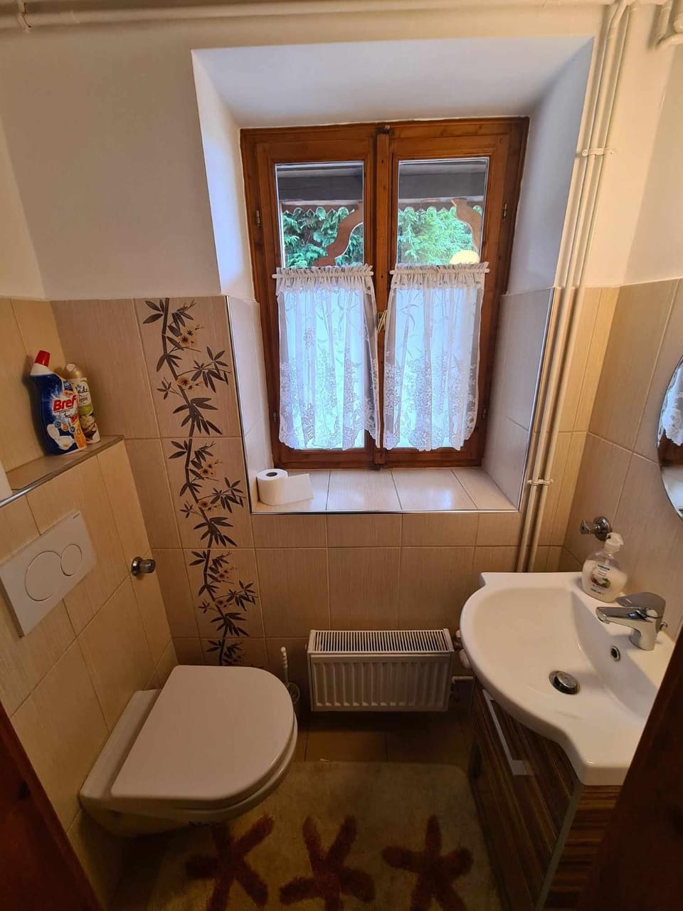 Toilet, internet