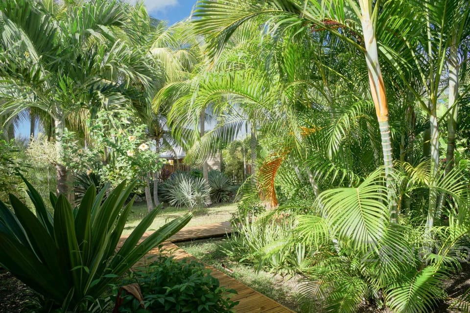 Day, Natural landscape, Garden view