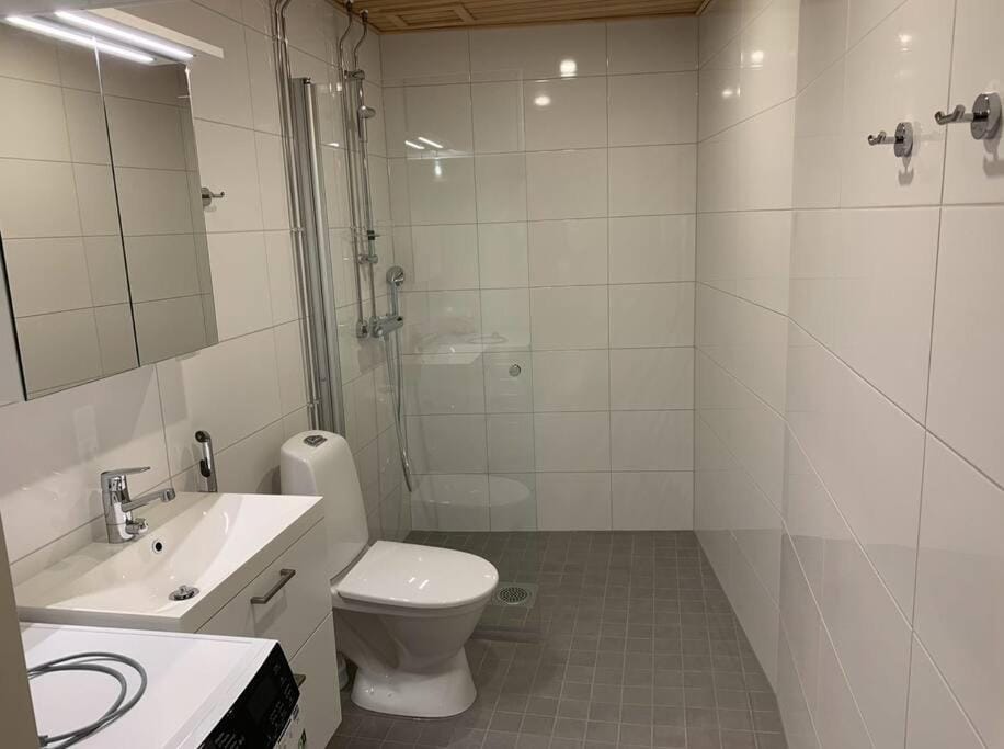 Shower, Toilet, Bathroom, bidet