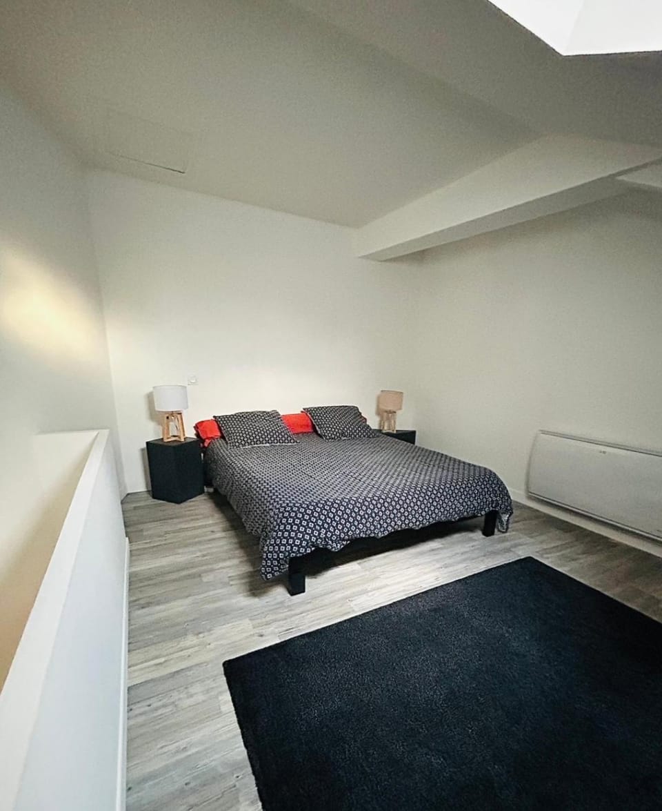 Appartement Centre ville Apartment in Centre-Val de Loire