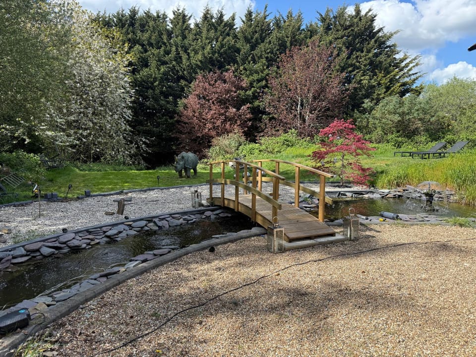Spring, Day, Garden, Garden view