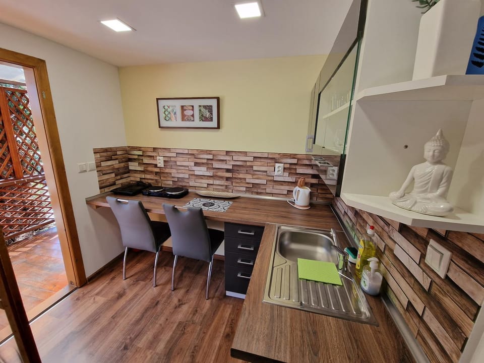 Kitchen or kitchenette, kitchen