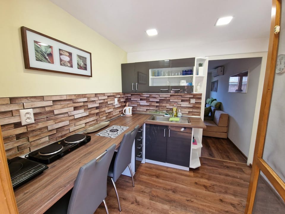 Kitchen or kitchenette, kitchen