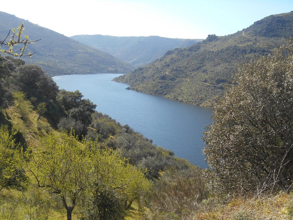 River view