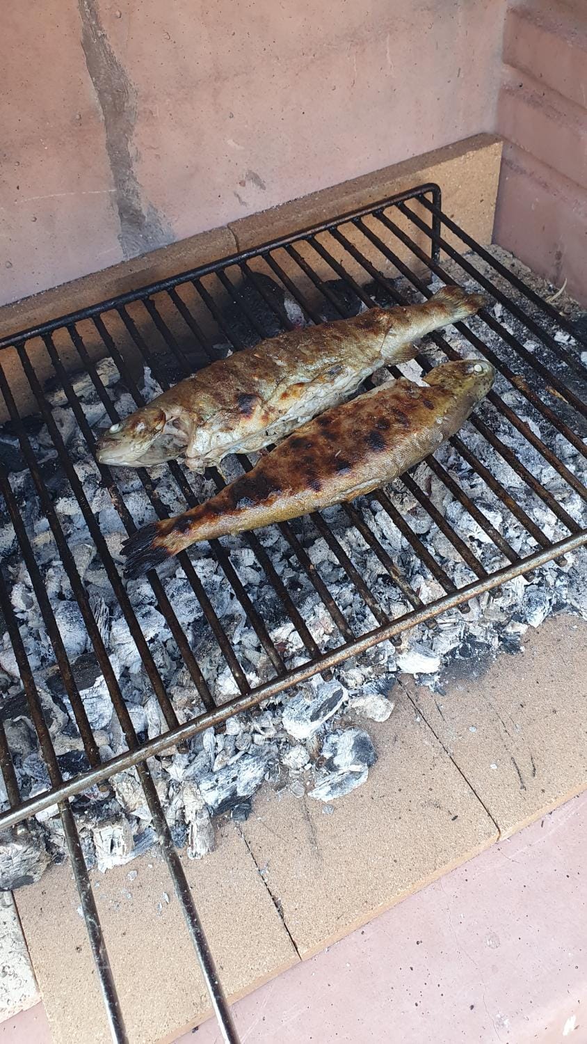 BBQ facilities