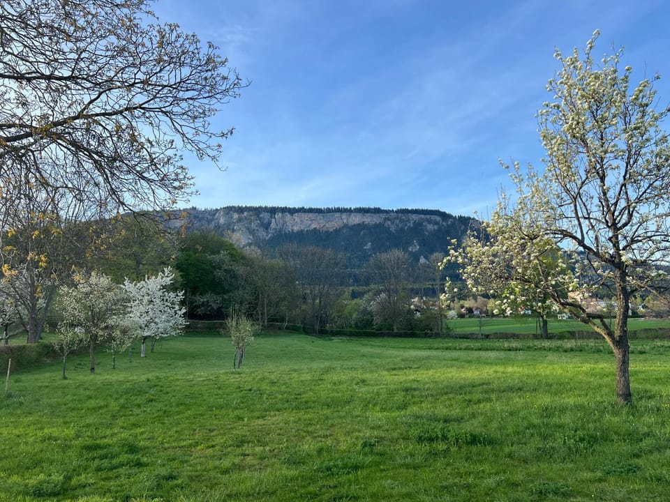 Mountain view