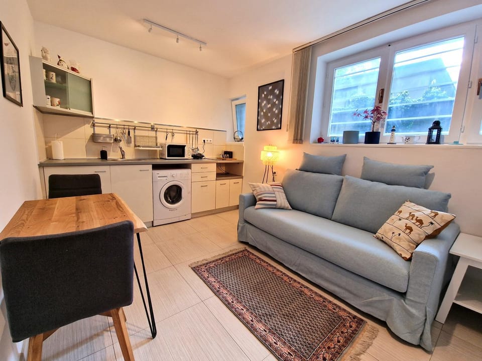 Kitchen or kitchenette, Living room, Seating area, Dining area, minibar, stove, toaster, washing machine
