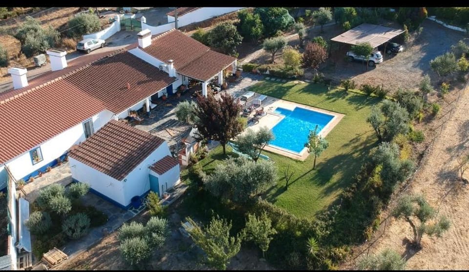 Bird's eye view, Garden, Pool view