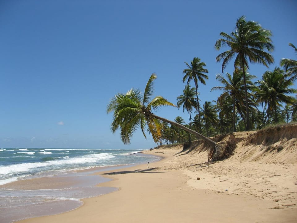 Day, Beach