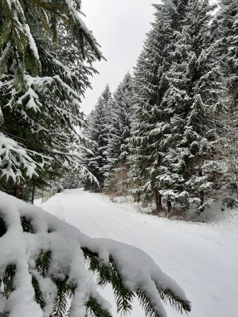 Natural landscape, Activities, Winter, Hiking