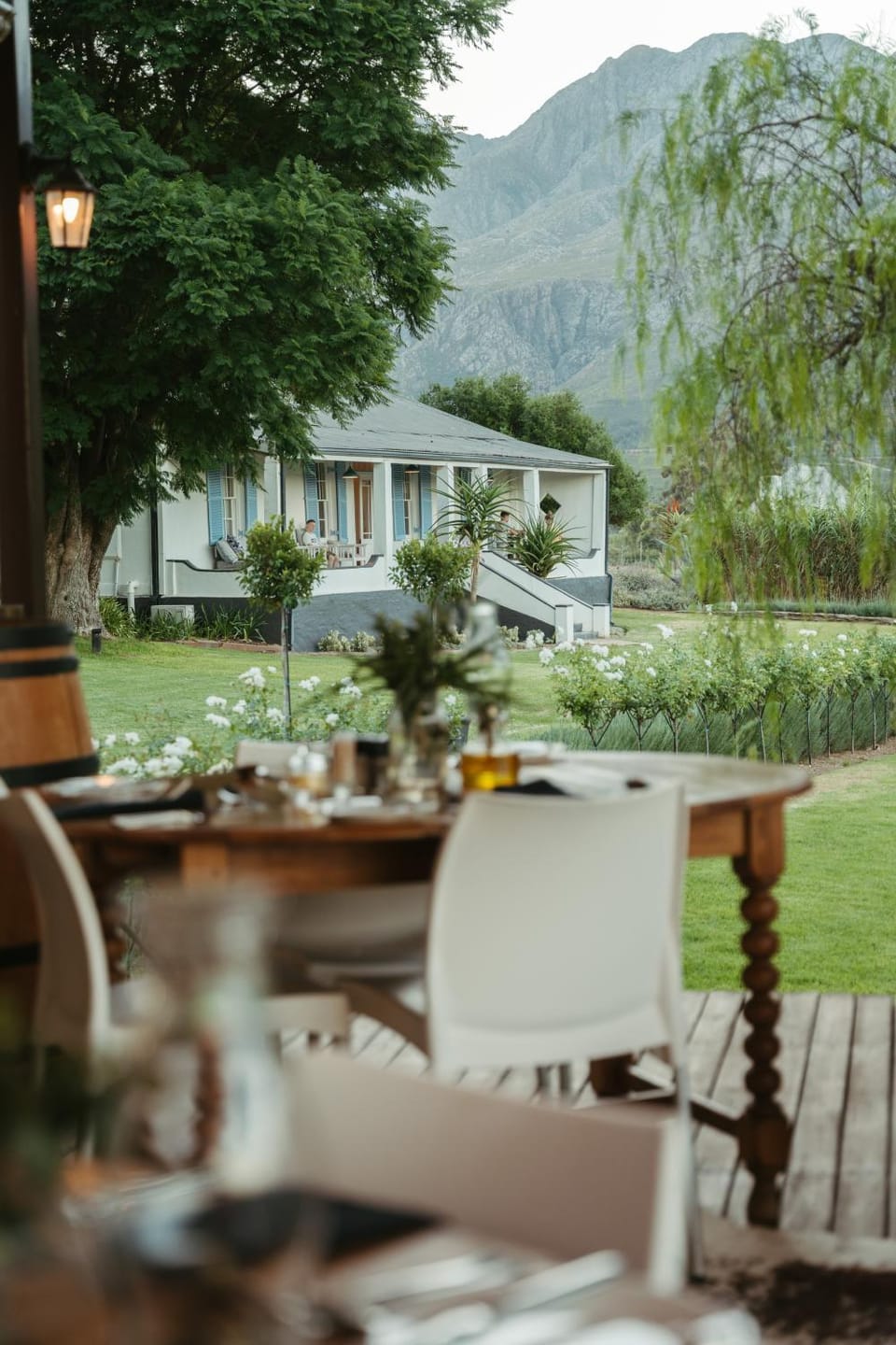 Restaurant/places to eat, Breakfast, Dinner