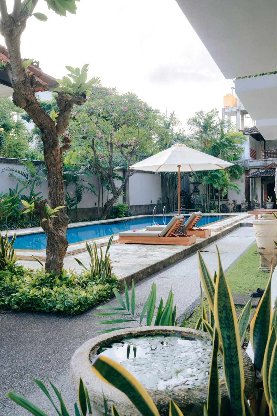 Swimming pool