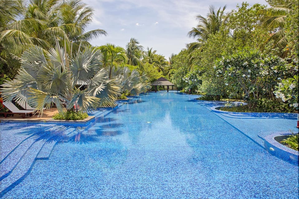 Spring, Day, Natural landscape, Garden, Garden view, Pool view, Swimming pool