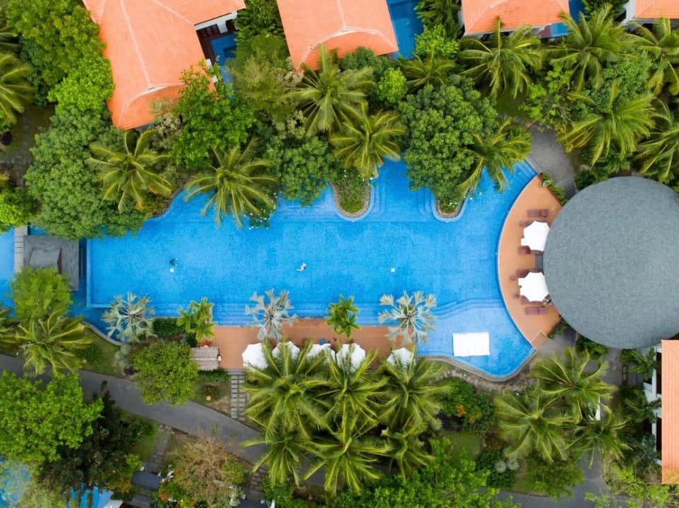 Spring, Day, Natural landscape, Bird's eye view, Garden, Garden view, Pool view, Swimming pool, sunbed