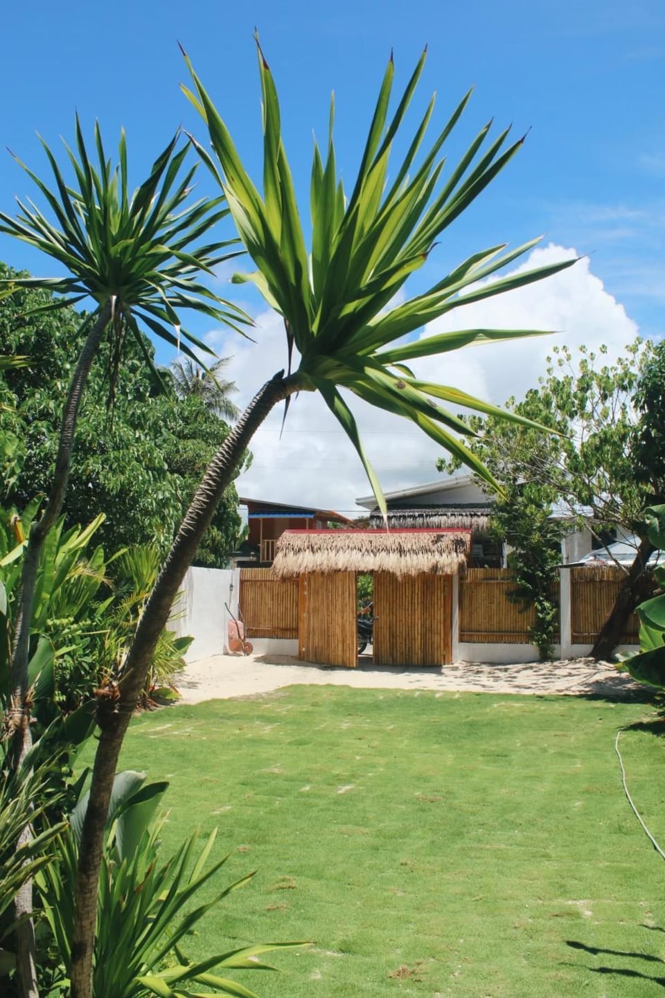 Garden view