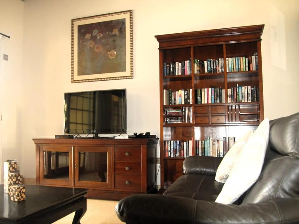 TV and multimedia, Living room