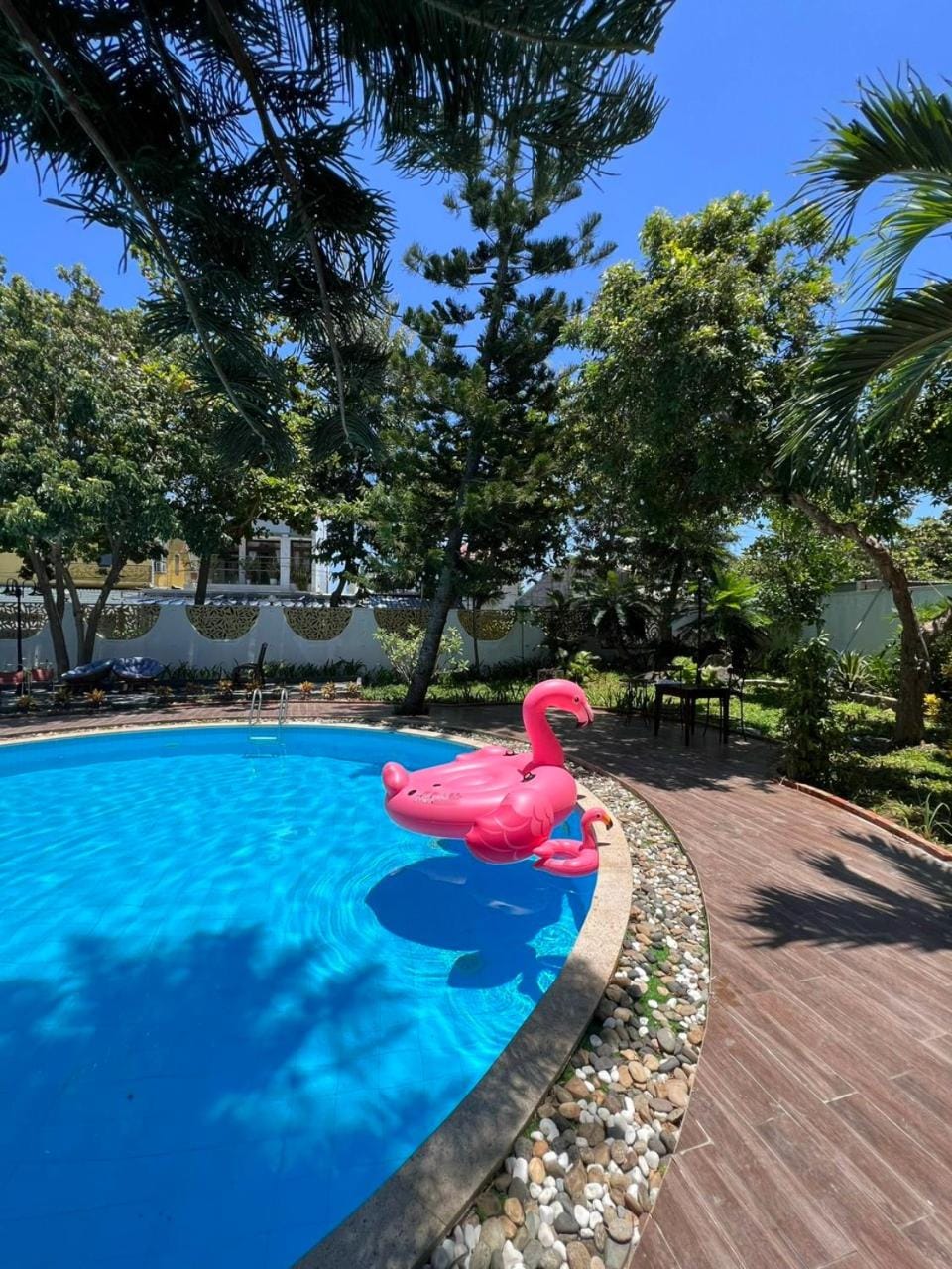 Day, Swimming pool